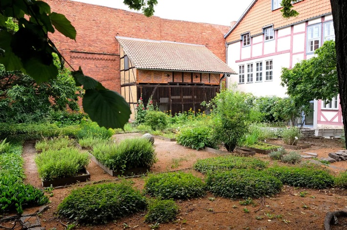 Stadtrundgang zeigt grüne Oasen in der Göttinger Altstadt