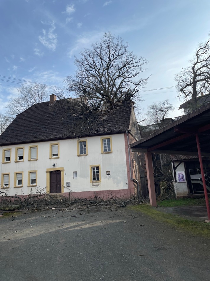 POL-PPWP: Baum stürzt in unbewohntes Gebäude