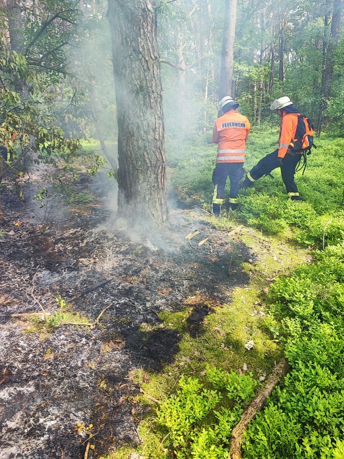 FW Celle: Feuer im Unterholz in Westercelle!