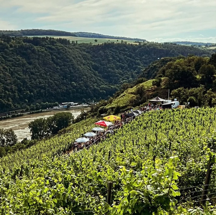 Loreley Touristik: Lasst die „Reben Beben“: Weinsommer an der Loreley