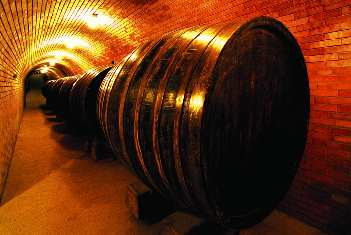 Musik in der Flasche: Goldmedaille für innovativen Grünen Veltliner - BILD