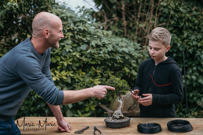 Bonsai-Tage im Botanischen Garten der Uni Osnabrück