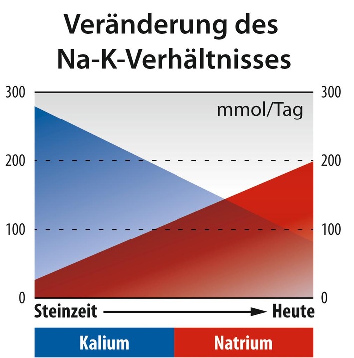 Salz, Chlorid und säurebildende Ernährung erhöhen Blutdruck und Sterblichkeit. Salzersatz und Salzreduktion senken Herz-Kreislauf-Sterblichkeit bis zu 80 %