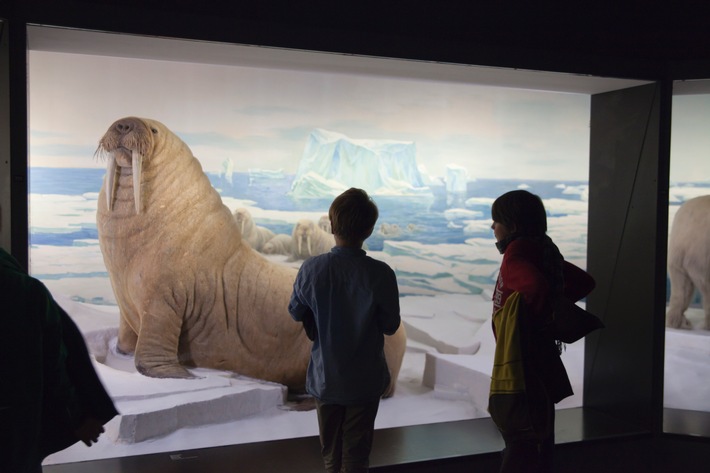 Museumsnacht im Anflug / 14. Museumsnacht Bern, 18. März 2016, 18 bis 02 Uhr