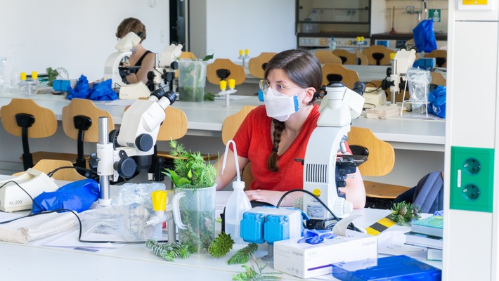 Ein exklusiver Blick hinter die Kulissen - Universität Osnabrück veranstaltet virtuellen Infotag für Masterstudiengang in der Biologie