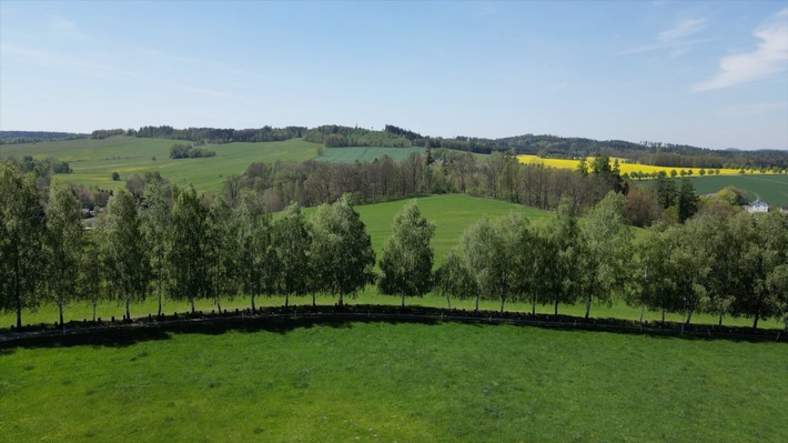 Projekt AKWA: Der Ritterbach als Frühwarnsystem für Umweltbelastungen