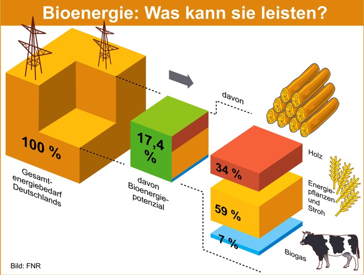 Bioenergie: ungeahnte Perspektiven! / Potenziale deutlich nach oben korrigiert