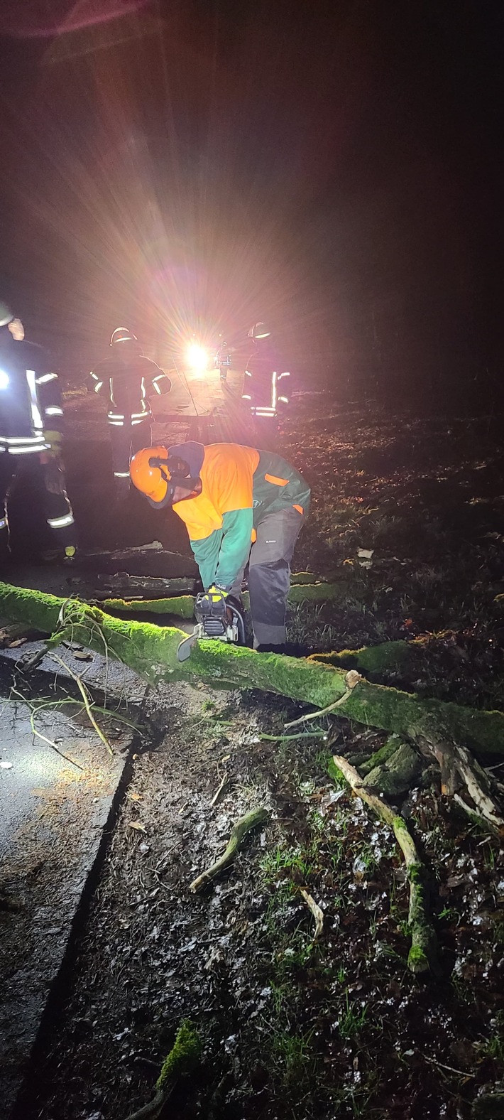 FW-Schermbeck: Baum in Telefonleitung