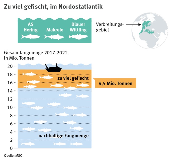 Überfischung und politisches Missmanagement bringen den Hering an eine kritische Grenze / Fangmengen sollen um 44% sinken