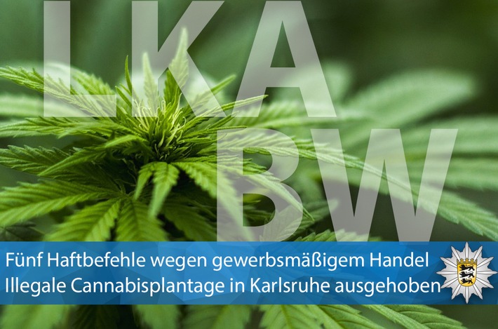 LKA-BW: Gemeinsame Pressemitteilung der Staatsanwaltschaft Heidelberg und des Landeskriminalamts Baden-Württemberg - Illegale Cannabisplantage in Karlsruhe ausgehoben