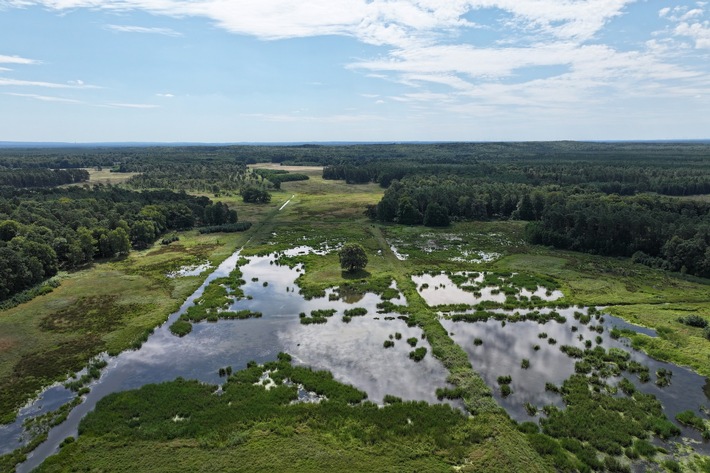 DBU: Mehr Tempo bei der Wiedervernässung – Welttag der Feuchtgebiete am 2. Februar