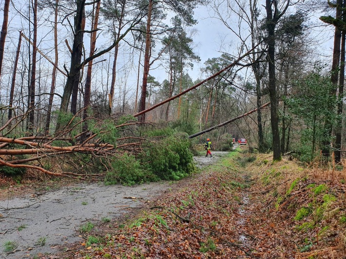 FW-Schermbeck: Sturmschaden auf dem Meesenmühlenweg
