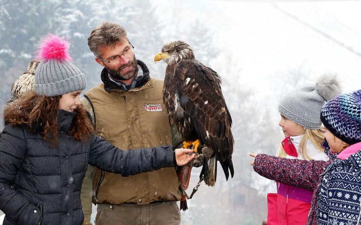 Winter im Wildparadies Tripsdrill