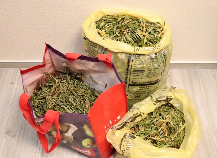 POL-HX: 2,5 Kilo Cannabis-Blätter in einer Wohnung gefunden