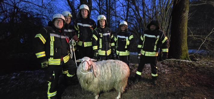 FW-EN: Schaf steckt in Tümpel fest - Tierrettung in Breckerfeld