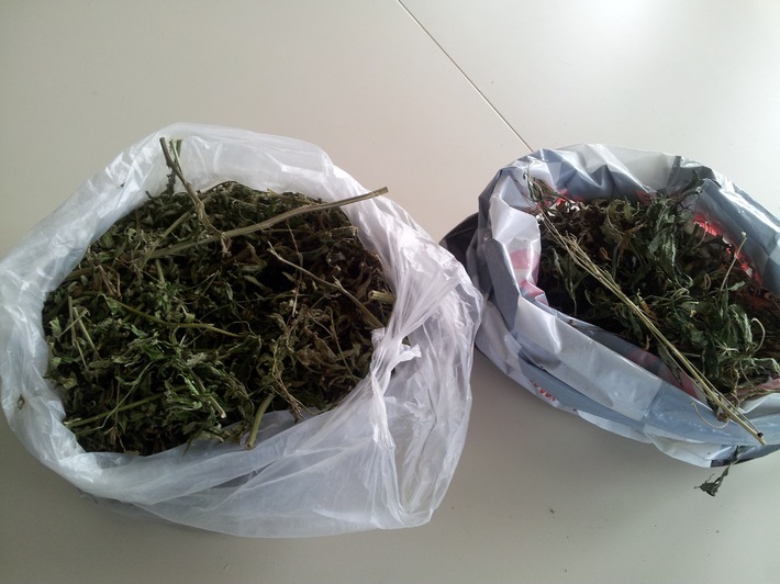POL-NOM: Polizeibeamte haben den richtigen Riecher/Ca. 1 kg Cannabis und professionelle Indooranlage sichergestellt