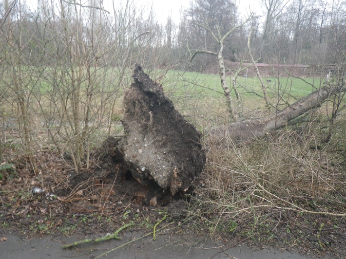 FW Ratingen: Sturmtief