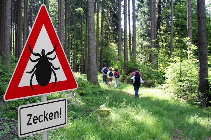 Kleine Krabbler, großes Risiko: ADAC gibt Tipps zum Schutz vor Zecken