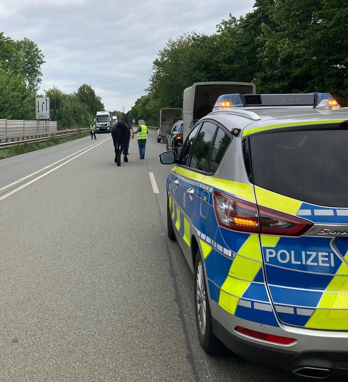 POL-MI: Reifenpanne löst "tierischen" Einsatz aus