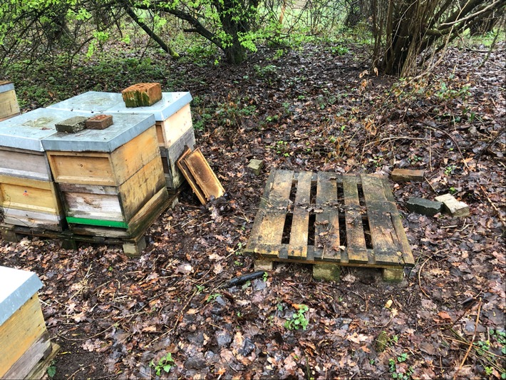 POL-ME: Bienenvölker entwendet - die Polizei ermittelt - Ratingen - 2104047