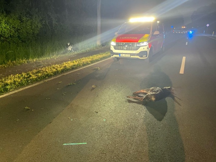 POL-COE: Olfen, B235/Motorradfahrer kollidiert mit Reh