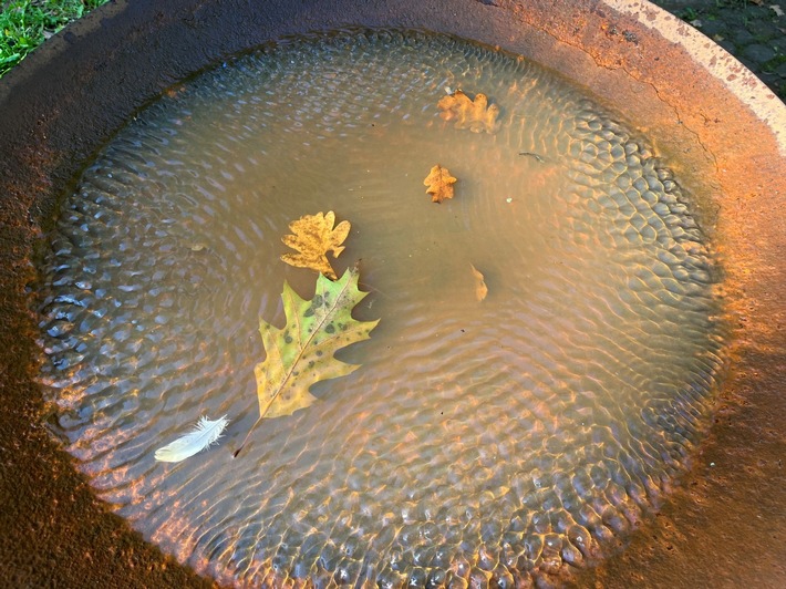 Pressemitteilung Nr. 002/2026 der Leibniz Universität Hannover   Wasser – Mensch – Zukunft