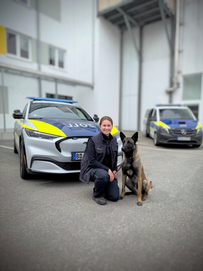 HZA-LA: Schäferhund "Bo" verstärkt den Landshuter Zoll/ Dienstantritt nach fast zweijähriger Ausbildung