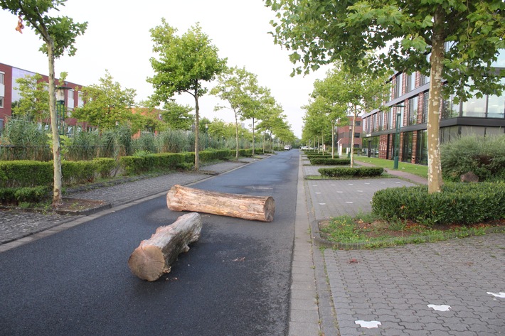 POL-VIE: Unbekannte legen Baumstämme auf Straße