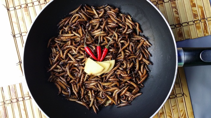 Insekten-Gerichte im Restaurant: Exotischer Genuss oder kulinarischer Alptraum?