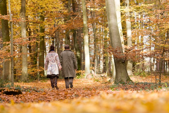 Tag der Stille im FriedWald / An einigen der 60 FriedWald-Standorte in Deutschland wird am Totensonntag auf besondere Weise der Verstorbenen gedacht