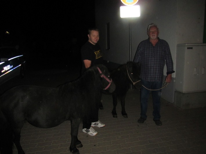 POL-PDWO: Ponys erkunden Westhofen
