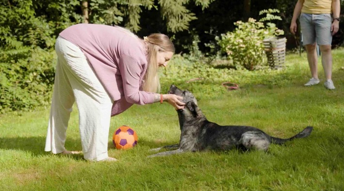 Mit oder ohne Fleisch: Mythen über Hundeernährung