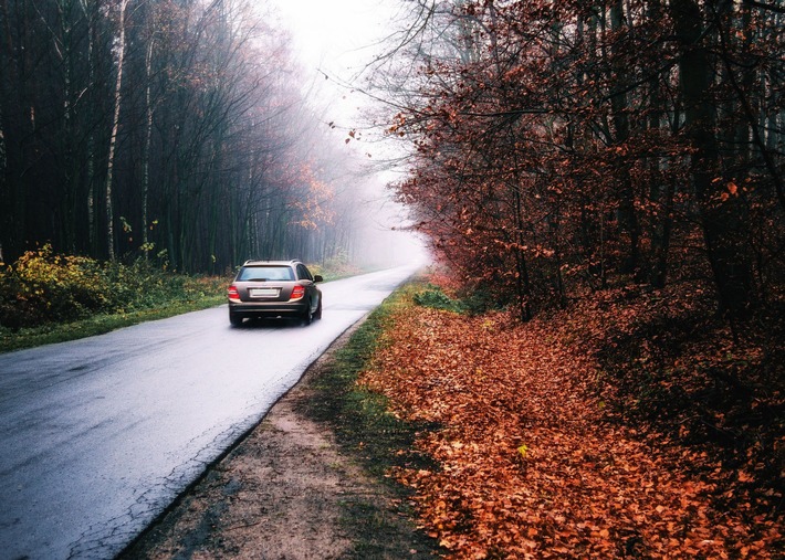 So fahren Sie sicher durch den Herbst / Tipps für das Autofahren bei Nebel, Dunkelheit und Regen