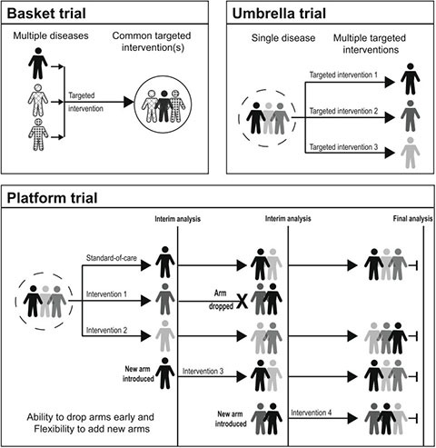 MaP Toolbox: Your Hub for Master Protocol Clinical Trials