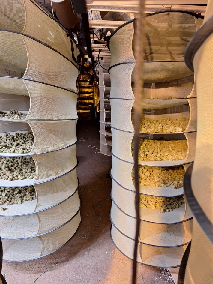 LPI-NDH: Schlag gegen die Drogenkriminalität im Eichsfeld