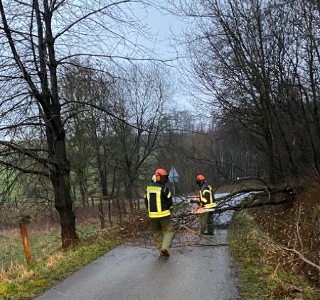 FW-EN: Sturmeinsatz - Baum auf Straße