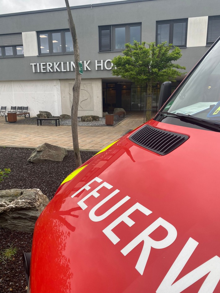 FW Mainz: Patiententransport der anderen Art