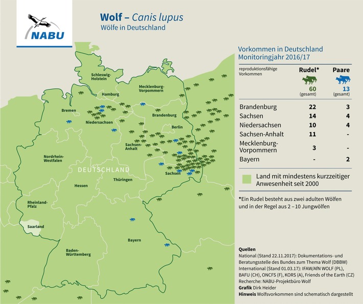 NABU fordert nationales Herdenschutzzentrum / Scheindebatte zur Bejagung des Wolfes überlagert konstruktive Diskussion zum Herdenschutz