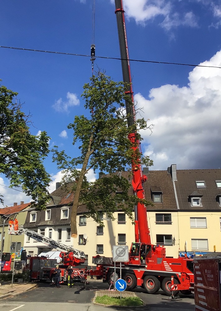 FW-BO: Feuerwehr beseitigt stark beschädigten Baum - Einsatz für den Feuerwehrkran