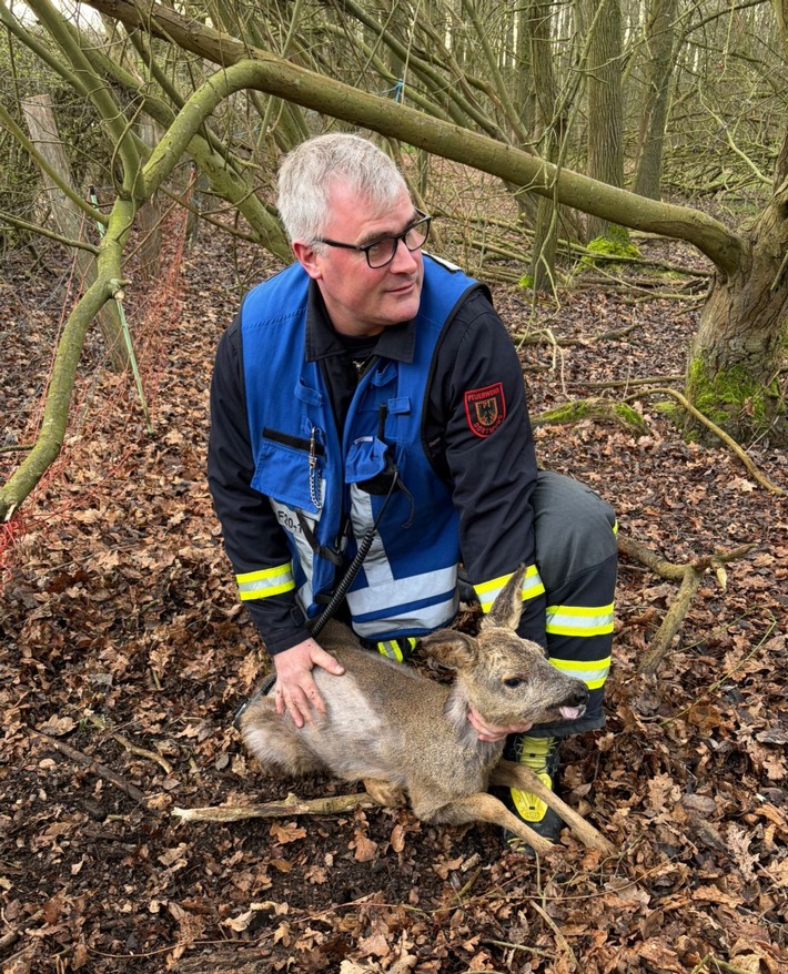 FW-DO: Rehkitz in Notlage