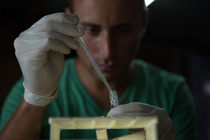 COVID-19 nur ein Weckruf? National Geographic zeigt neue Dokumentation "Die Virus-Jäger" am 29. November