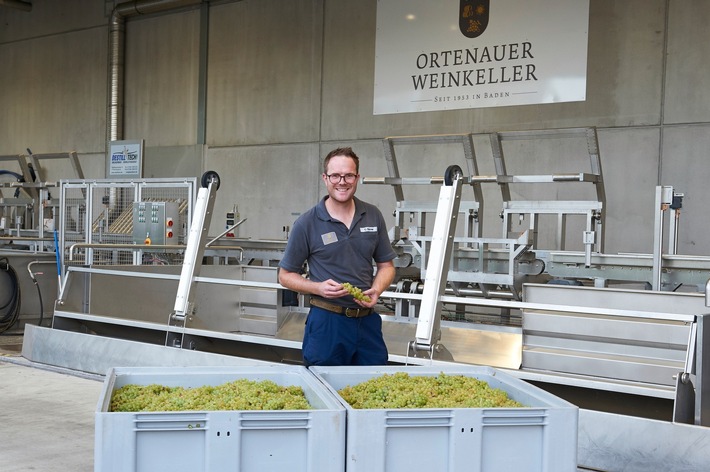 Presse-Information: Im Ortenauer Weinkeller beginnt der Herbst