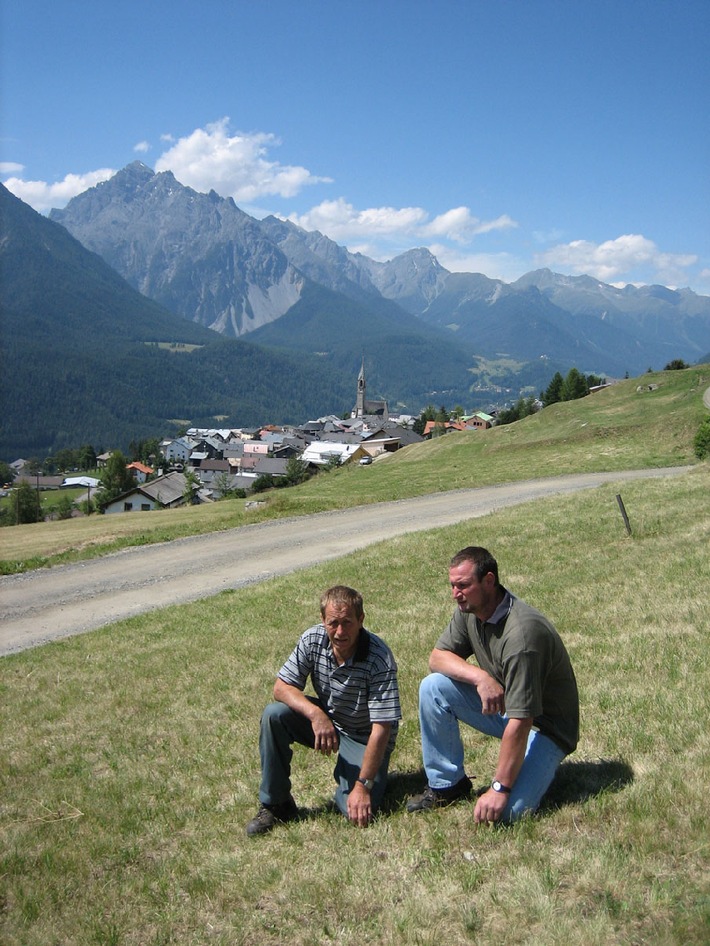Bergbauern leiden unter der Trockenheit - Die Schweizer Patenschaft für Berggemeinden hilft mit 500 000 Franken