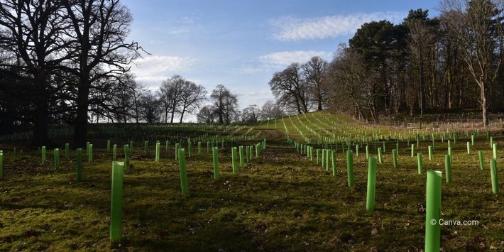Regenerative Landwirtschaft: Offenheit ja, aber noch viel Unklarheit