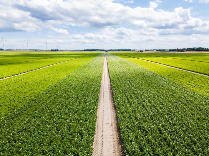 EEF und Solana treiben gemeinsam Windprojekte in Mecklenburg-Vorpommern voran