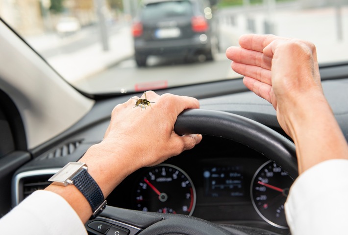 Wespe im Auto: Am besten schnell anhalten und den Störenfried an die Luft setzen. Foto: HUK-COBURG / Weiterer Text über ots und www.presseportal.de/nr/7239 / Die Verwendung des Bildes für redaktionelle Zwecke ist honorarfrei, wenn der Abdruck mit korrekter Quellenangabe erfolgt. Quellenangabe: "obs/HUK-COBURG/Hagen Lehmann Cobug"