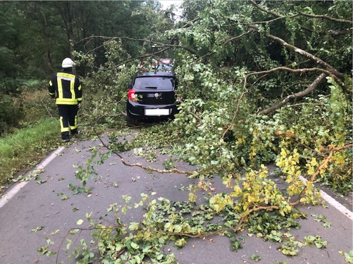 POL-PDWIL: Verkehrsunfall durch umgestürzten Baum