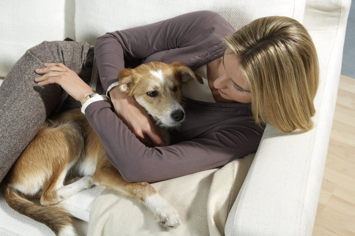 TierPartner von AXA Assistance - neuer Komplettschutz für Hunde und Katzen