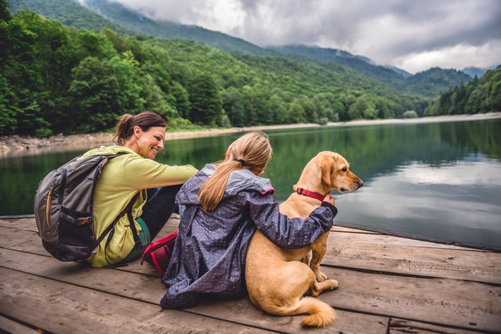 Ab in den Sommerurlaub: Reisen mit Hund