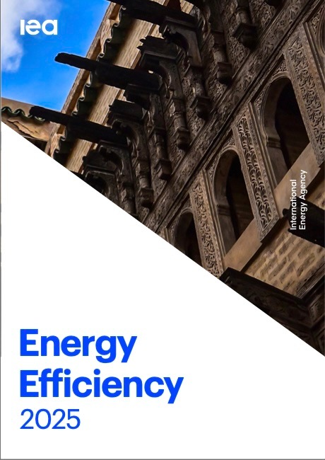 Reaktion auf IEA-Bericht: Danfoss-CEO mahnt mehr Tempo